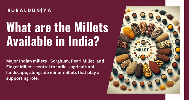 What are the Millets Available in India?