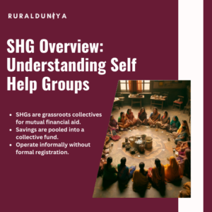 Read more about the article SHG Self Help Group (History, Functions, Benefits, Evolution, Formation)