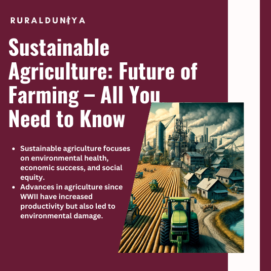 Read more about the article Sustainable Agriculture | Definition, Importance, Practices