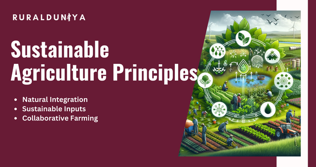 Sustainable Agriculture Principles
