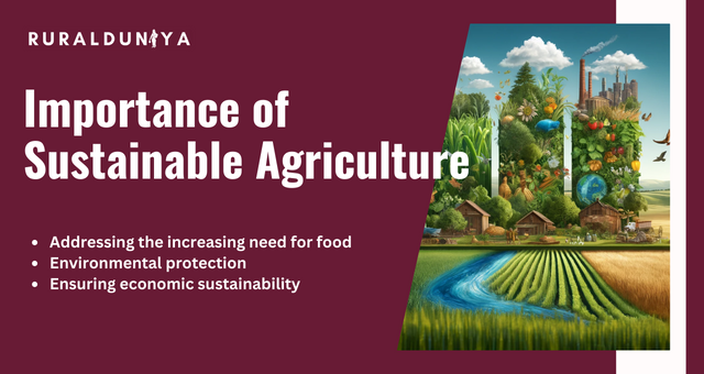 Importance of Sustainable Agriculture
