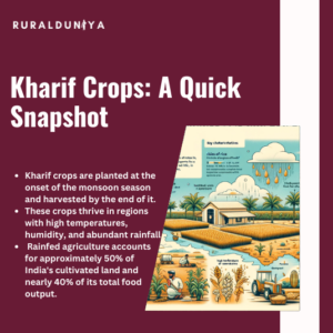 Read more about the article Kharif Crops – Overview, Major Crops, Farming Techniques