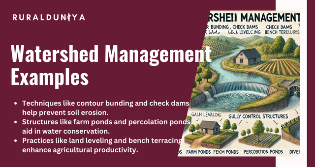 Watershed Management Examples