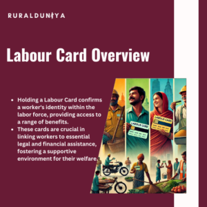 Read more about the article Labour Card | State wise -Benefits, Apply, Renew, and Verify