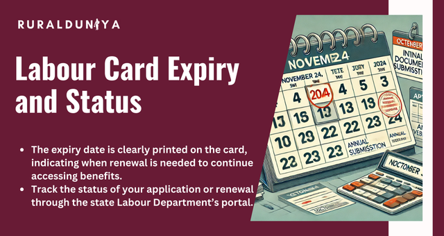 Labour Card Expiry and Status