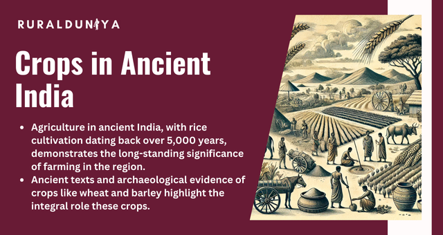 Crops in Ancient India