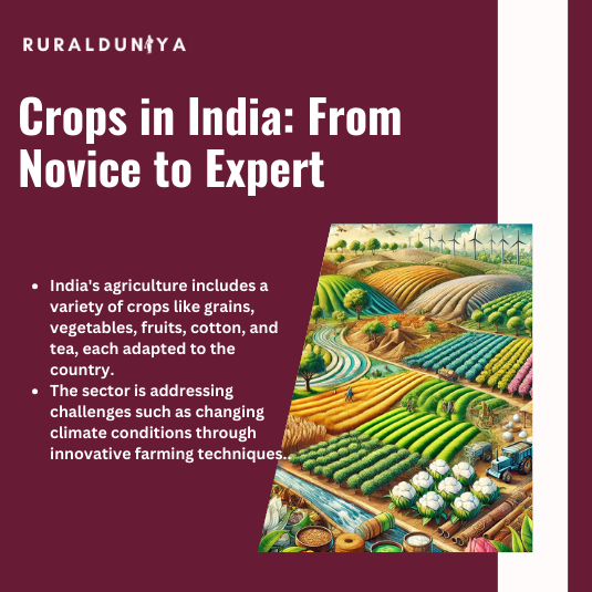 Read more about the article Crops in India | Rabi, Zaid, Kharif and Cash Crops