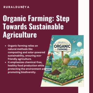 Read more about the article Organic Farming | Definition, Benefits, Limitations, Types