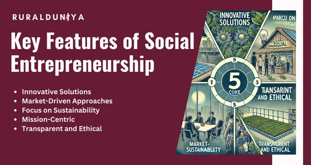 Key Features of Social Entrepreneurship