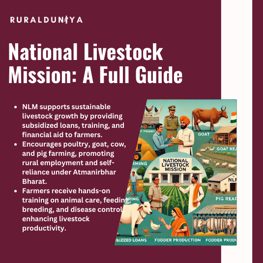 Read more about the article National Livestock Mission | Eligibility, Loan, Subsidy, Training