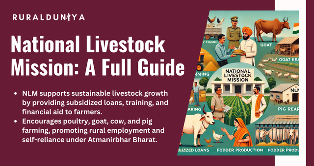 National Livestock Mission | Eligibility, Loan, Subsidy, Training
