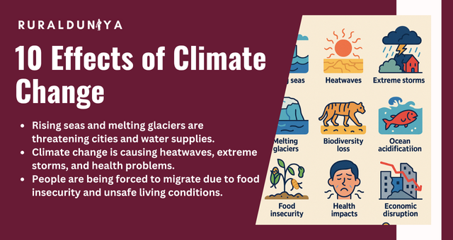 10 Effects of Climate Change