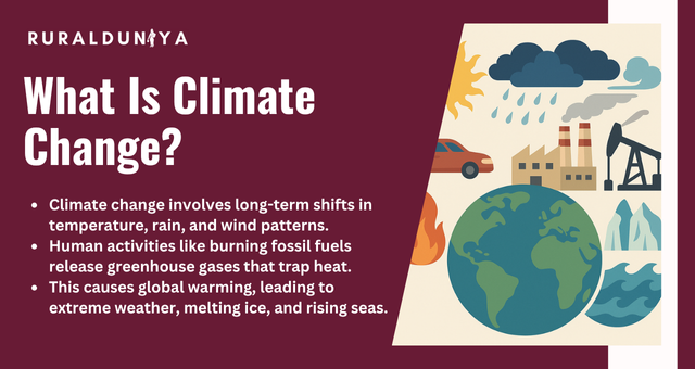 Climate Change | Global Warming, Impact, Solutions, Reports