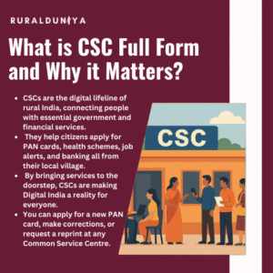 Read more about the article CSC – Common Service Centre | Digital India, Job Portal, Registration, Seva Portal