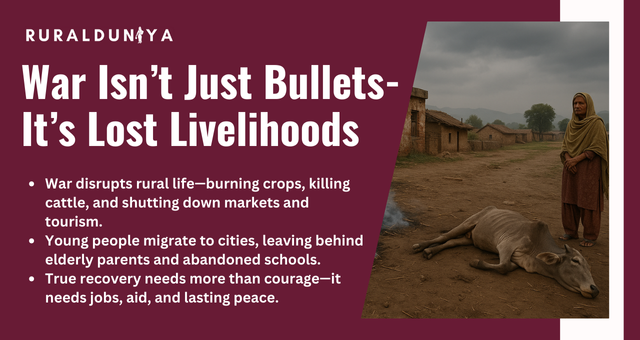 War Isn’t Just Bullets—It’s Lost Livelihoods