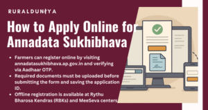 Annadata Sukhibhava 2025 | Apply Online, Eligibility, Amount