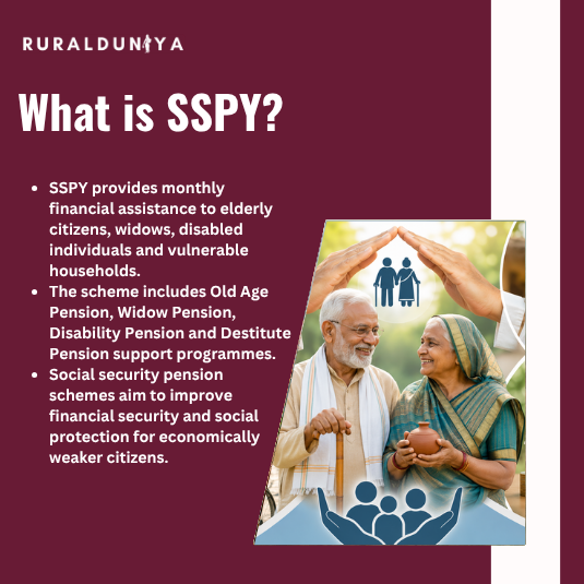 Read more about the article SSPY Pension Portal, Widow Pension, Old Age Pension, eKYC, Status Check and Apply Online