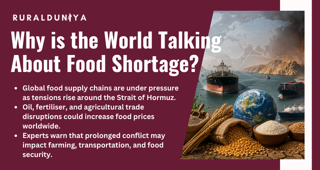 Why is the World Talking About Food Shortage?