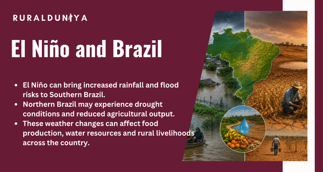 El Niño and Brazil