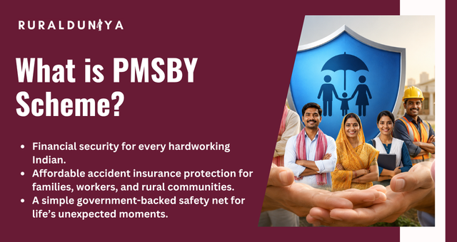 What is PMSBY Scheme?